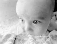 I see the light; Коментари:12