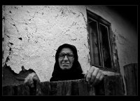 без име ( ID=726786 ); Коментари:3