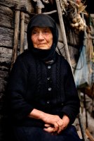 без име ( ID=732364 ); Коментари:6