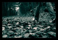 Going from the past to the future; Коментари:3