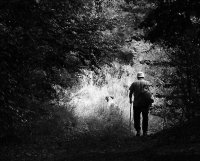 no name ( ID=747005 ); comments:4