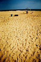 човешките стъпки...или опити за съзиране на щастие...; Коментари:7