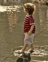 без име ( ID=727093 ); Коментари:19