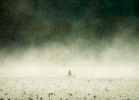 доверие; Коментари:18