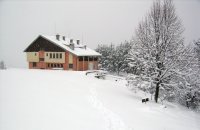 *; Коментари:8