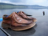 Природата и ние (за конкурса); Коментари:13