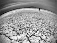 Майка и син; Коментари:34