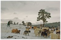 без име ( ID=748842 ); Коментари:34