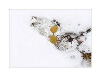 ...; Коментари:18