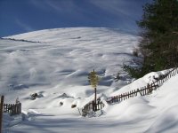 ***; Коментари:7