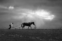 Житейски неволи; Коментари:34