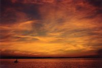 залез Отманли; Коментари:11