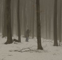 lost in the fog; Коментари:12