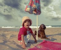 момиче, куче, море...; Коментари:24