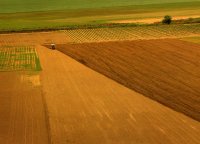 Разораната целина; Коментари:18