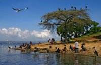 Планетата на двукраките; Коментари:33