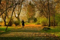 есенна разходка; Коментари:5