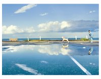 без име ( ID=747718 ); Коментари:40