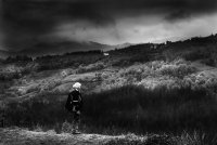 "Майстора" пред бъдещата си "картина"; Коментари:13