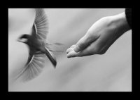 ***; Коментари:35