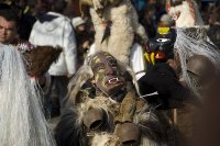 no name ( ID=783967 ); comments:1