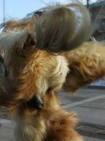 no name ( ID=784807 ); comments:6