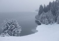 Язовир Доспат; comments:1