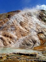 Mammoth hot springs; comments:2