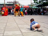 Lion Dance; comments:24