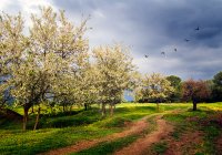 без име ( ID=913837 ); Коментари:11