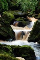 без име ( ID=910778 ); Коментари:15