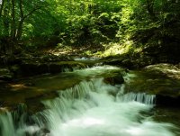 без име ( ID=914094 ); Коментари:5