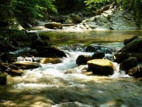 без име ( ID=914096 ); Коментари:9