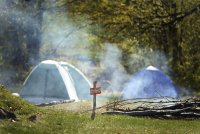 Camp; Коментари:2