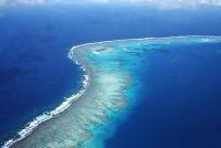 _S_; Коментари:24