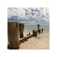 - И да не влизаш надълбоко, само до глезените!; comments:17