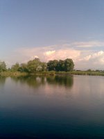 без име ( ID=916486 ); Коментари:4