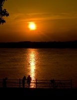 zalez; Коментари:6