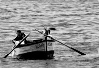 Тандем без компас; comments:6