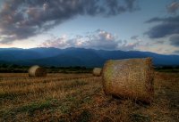 Беласица; comments:20