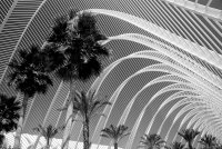 Valencia-Gradyt na naukite i izkustvata; Коментари:20