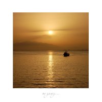 no name ( ID=908387 ); comments:24