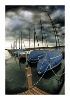 без име ( ID=912883 ); Коментари:25