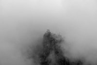 без име ( ID=930947 ); Коментари:6