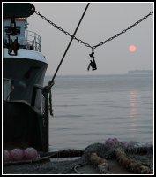 ...; Коментари:5