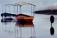 Охридското езеро; Коментари:19