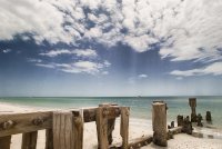 -ll--l---iii; Коментари:16