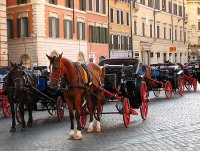 Nakude li shte trugnem sega...?; Коментари:5