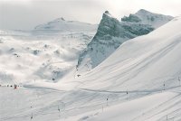 s; Коментари:14