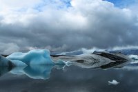 fish; Коментари:60